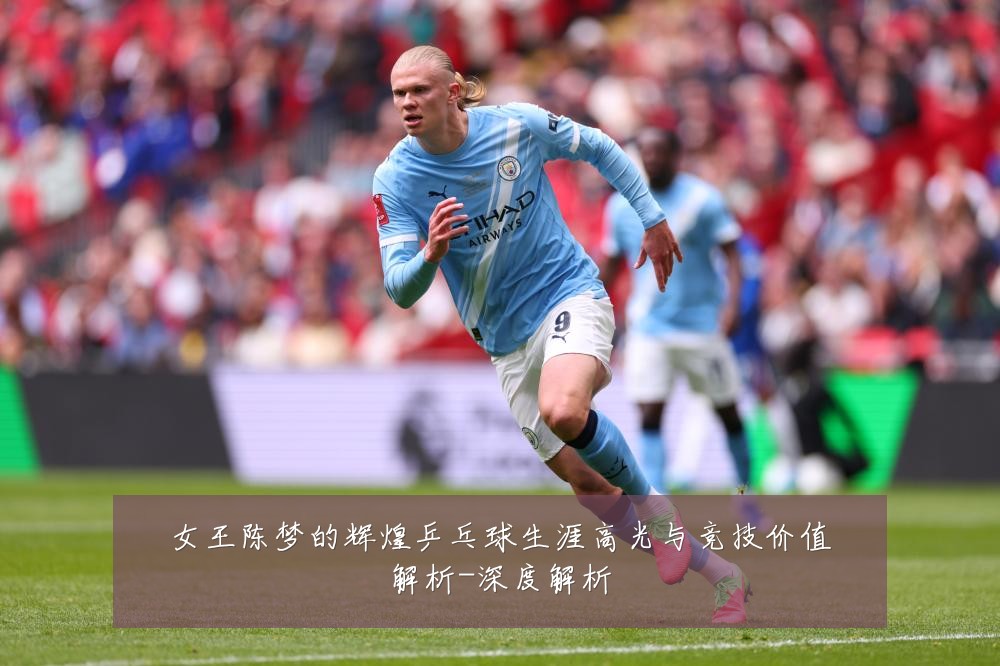 女王陈梦的辉煌乒乓球生涯高光与竞技价值解析-深度解析
